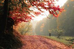 прогноз погоди на листопад 2025 львів