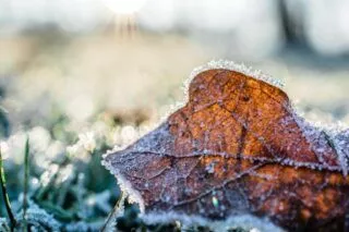 коли випаде сніг в україні