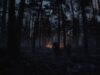 Відьмак 4 вийшов на Netflix — нова ера без Генрі Кавілла
