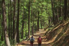 Биатлон Кубок мира 2025-2026: когда будут соревнования