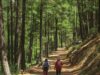 Лучше одна долгая прогулка, чем несколько коротких — объяснение ученых