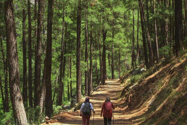 Краще одна тривала прогулянка, ніж кілька коротких — пояснення вчених