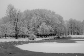 прогноз погоди буковель на груден