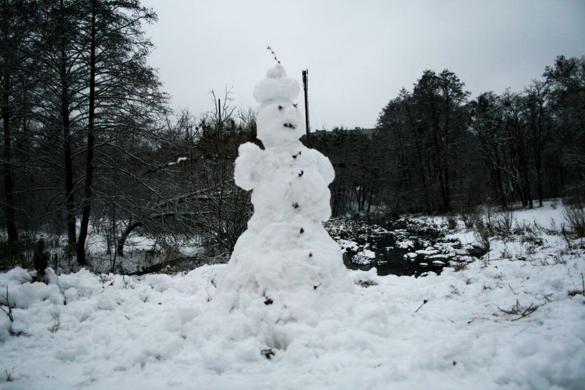 Погода на грудень 2025 в Україні: що очікувати українцям