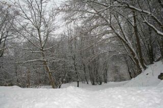 Українці можуть лишитися без компенсації за пошкоджене житло — які причини