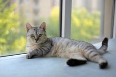 Образити себе чи “близьку” людину? Психологи про те, як захищати особисті кордони