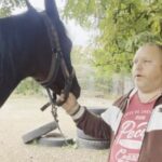 Пешком вывел лошадей из-под обстрелов: херсонец спасает животных, несмотря на опасность обстрелов