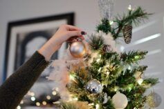 когда ставить елку на новый 2026 год