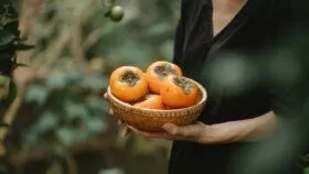 українці вирощують власну хурму