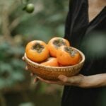 Хиакуме и Чучупака! В Украине аграрии создали свои сорта хурмы