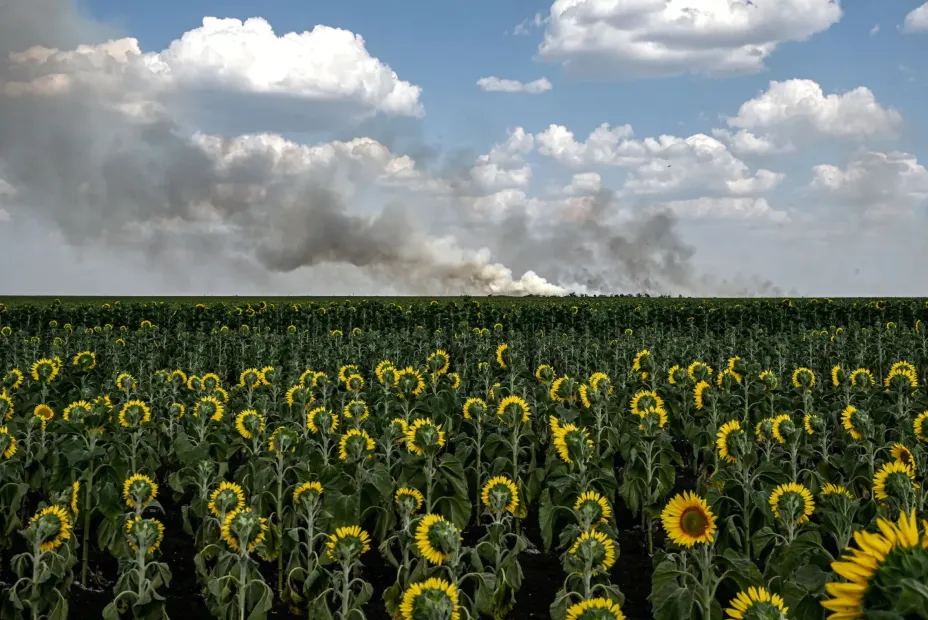 Фото к: Украинские кадры, вошедшие в рейтинг