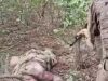 Связали руки и добили: под Покровском оккупанты убили пленника — детали от следствия