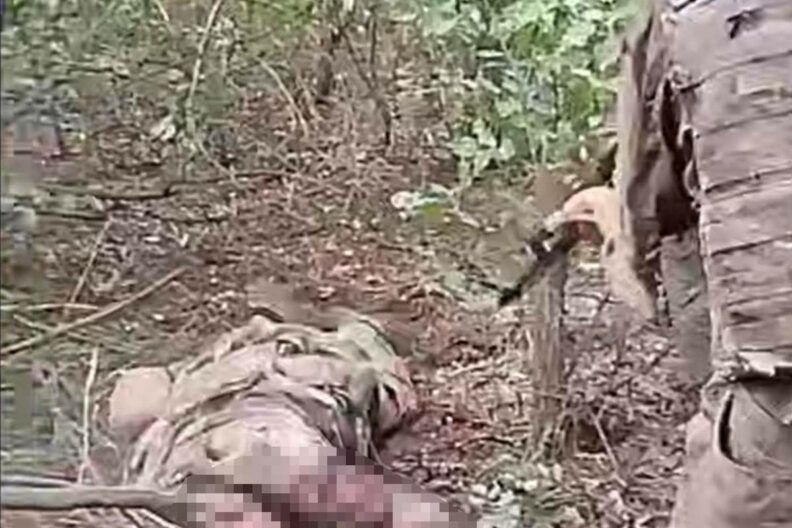 Зв’язали руки і добили: під Покровськом окупанти вбили полоненого — деталі від слідства