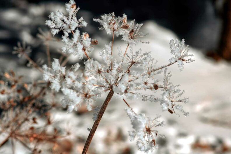 погода на 1 грудня