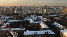 Підживлення кабачків у відкритому ґрунті: ефективні добрива та методи