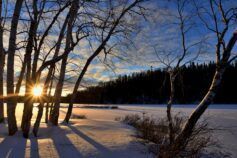 погода в січні 2026