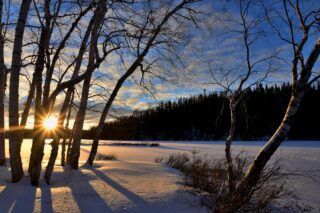 погода в січні 2026