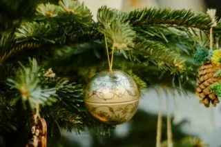 ціна на ялинку 2026