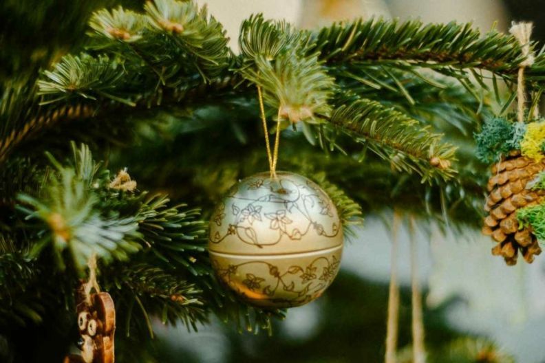 цена на елку 2026