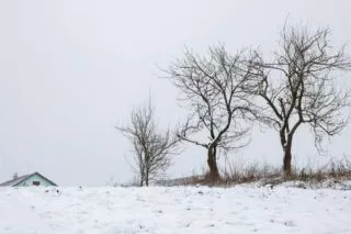 когда будет снег в хмельницком