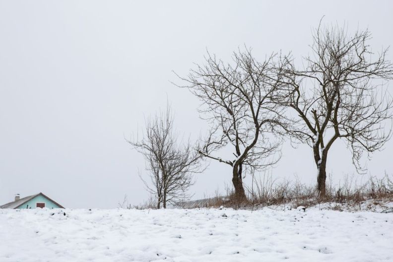 когда будет снег в хмельницком