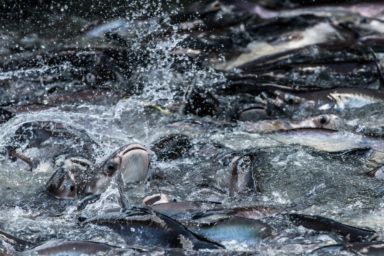 Как изменилось состояние экологии в 2025 году