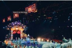 Тварини в цирку