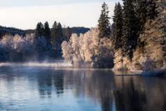 погода в хмельницькому січні 2026