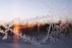 погода в феврале 2026