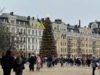 Когда уберут елку в Киеве 2026 — ориентировочные даты демонтажа
