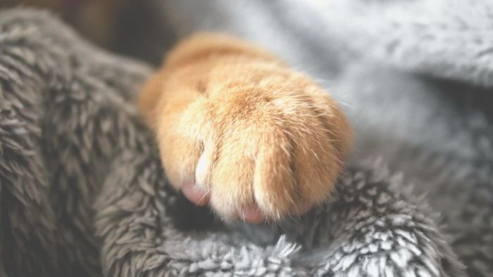 банк крові у вінниці