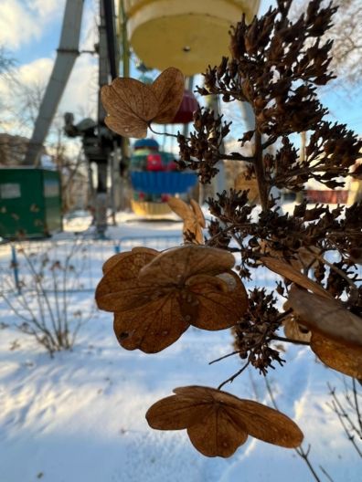 инстаграммные места Житомира