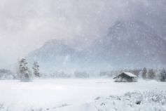 погода в лютому 2026 в києві