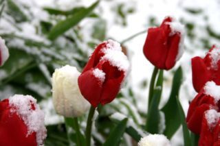 погода на березень 2026 в україні