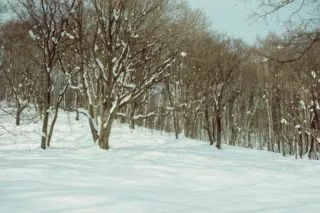 Трагедія у Харкові