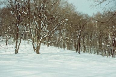 Трагедія у Харкові