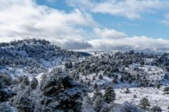 погода в буковелі в лютому 2026