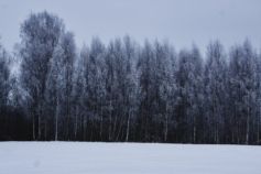 погода в Харькове в феврале 2026