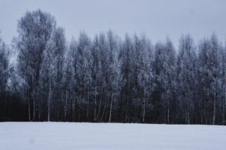 погода в харкові в лютому 2026