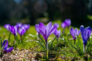 прогноз погоды на весну 2026