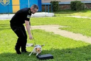 день митника