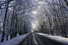 погода в Киеве в марте 2026