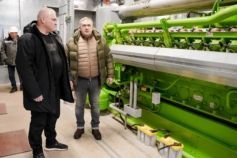 Чому в українських містах масово простоюють когенераційні установки