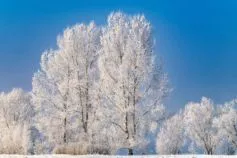 коли закінчаться морози в україні