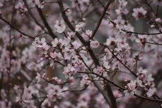 погода в Харькове в марте 2026