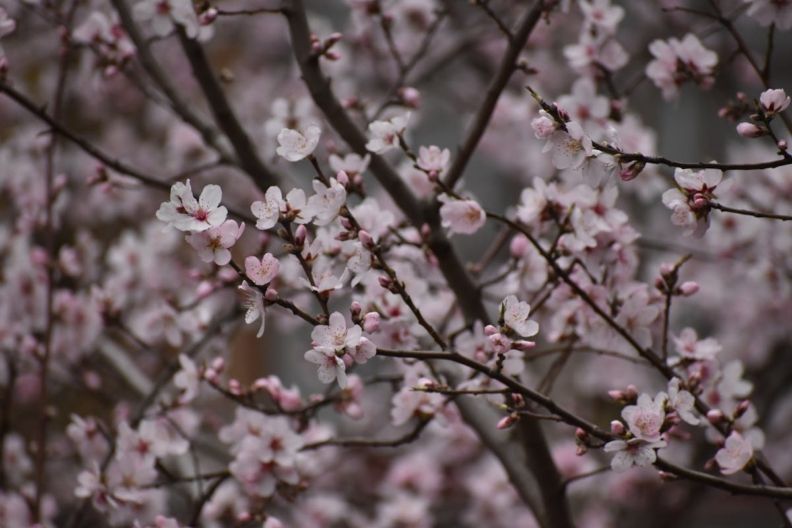 погода в Харькове в марте 2026