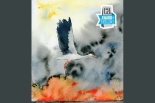 Маргарита Вінклер здобула міжнародну відзнаку