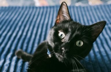 с п'ятницей 13