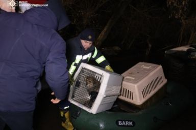 В Кропивницком затопило убежище