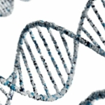 В Харькове восстанавливают уникальный генетический банк: РФ уничтожила то, что накапливалось 15 лет